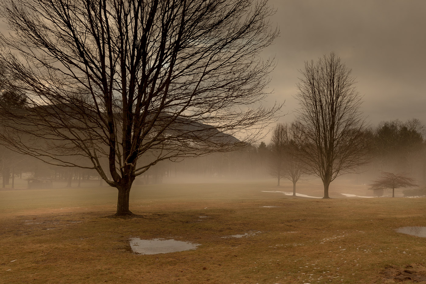 Fog-502
